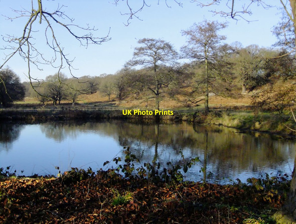 Photo 6"x4" Ham Gate Pond in mid-February Kingston Upon Thames c2019
