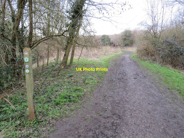 Photo 6"x4" London LOOP, Old Malden New Malden c2019