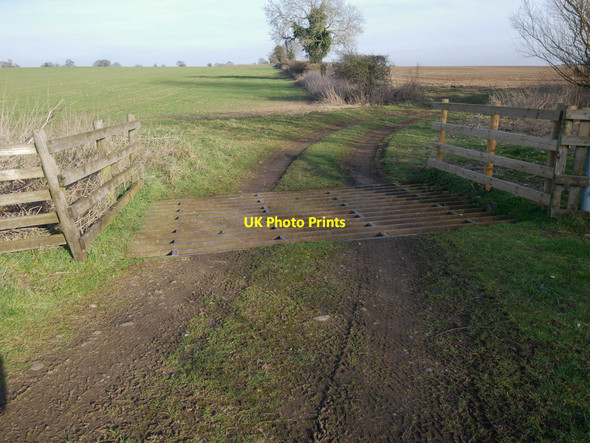 Photo 6"x4" Cattle grid Chalkhill c2019