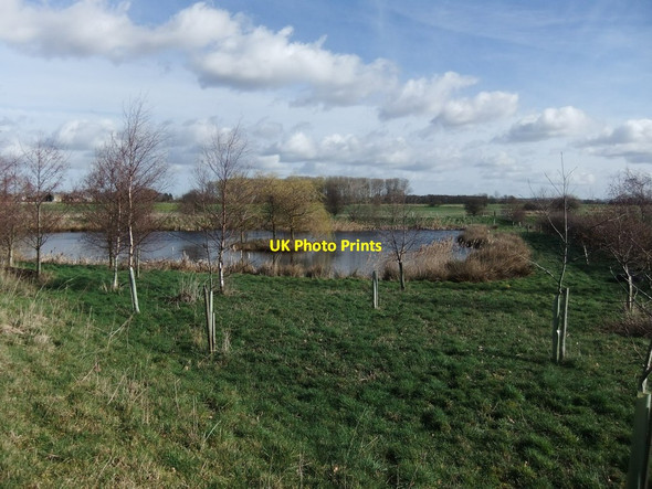Photo 6"x4" Small duck pond Bursea c2019