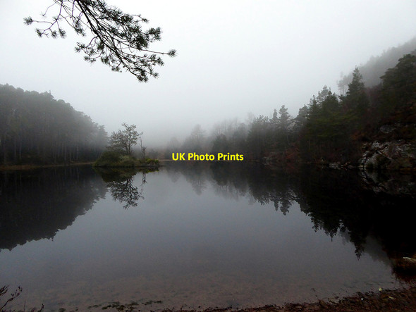 Photo 6"x4" Dawn over the lochan Culrain c2019