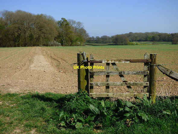 Photo 6"x4" Bridleway across farmland, Baydon Baydon c2017