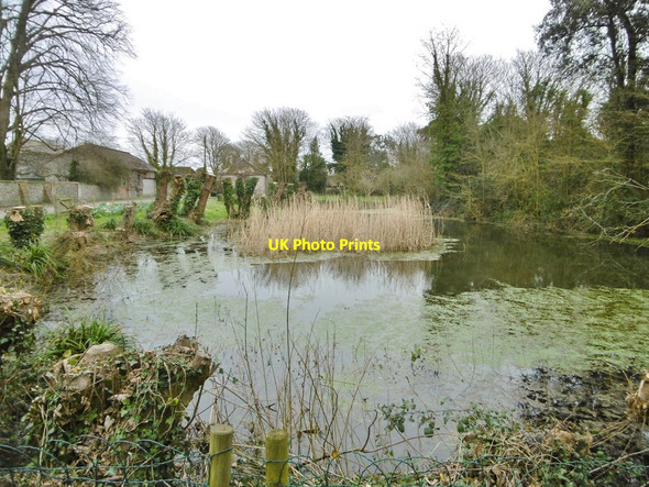 Photo 6"x4" East Kingston, pond Kingston Gorse c2019