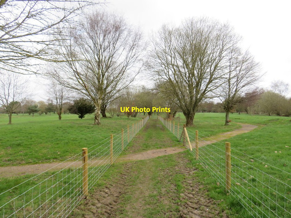 Photo 6"x4" Public footpath near Halstead Halstead\/TQ4861 c2019
