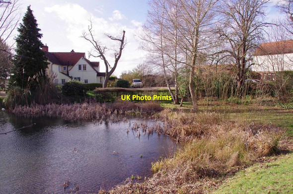 Photo 6"x4" Duck Pond by Lexden Rd West Bergholt c2019