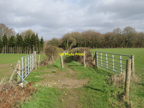 Photo 6"x4" Public bridleway near Pratts Bottom Rushmore Hill c2019