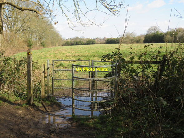 Photo 6"x4" North Downs Way at Knockholt Knockholt c2019