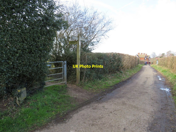 Photo 6"x4" Chevening Lane, near Knockholt Pound Chevening c2019