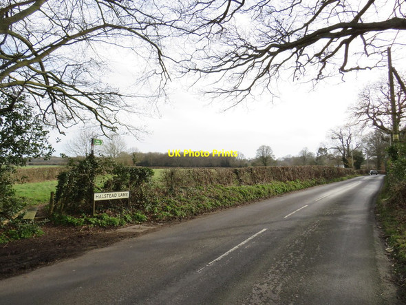Photo 6"x4" Halstead Lane, near Knockholt Pound Halstead\/TQ4861 c2019