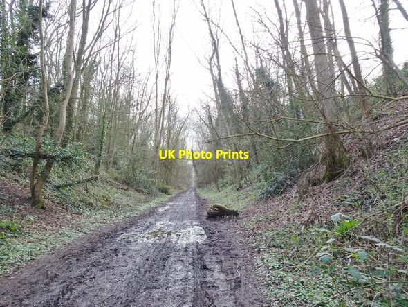 Photo 6"x4" Mud Path Castlecroft c2019