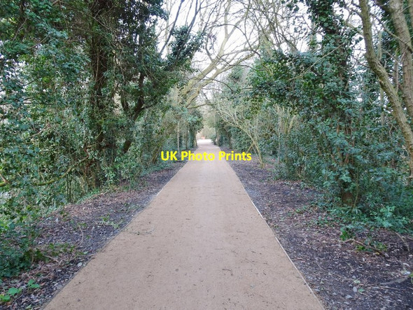 Photo 6"x4" New Path Compton\/SO8898 c2019