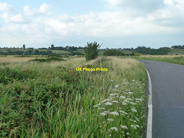 Photo 6"x4" Verge, Fort Road Tilbury c2011