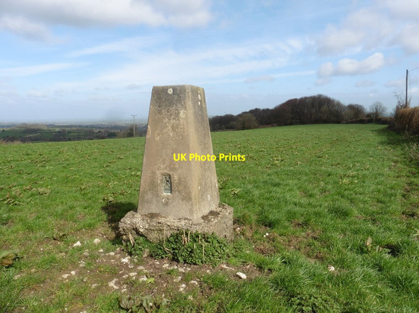 Photo 6"x4" Trig point on Seaborough Hill Crewkerne c2019
