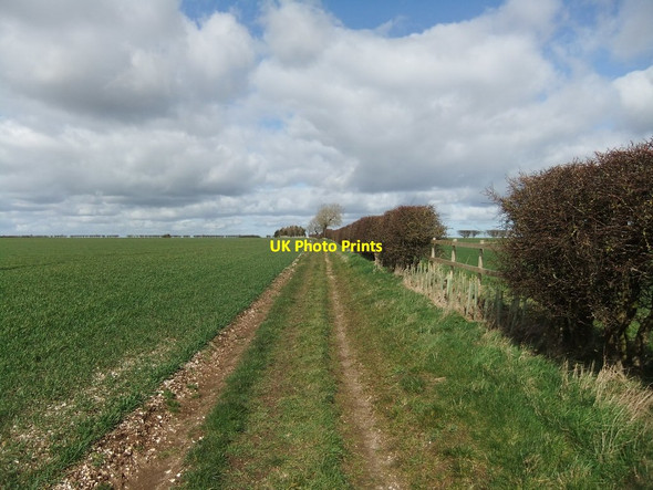 Photo 6"x4" Byway to Manor Wold Farm East Heslerton c2019