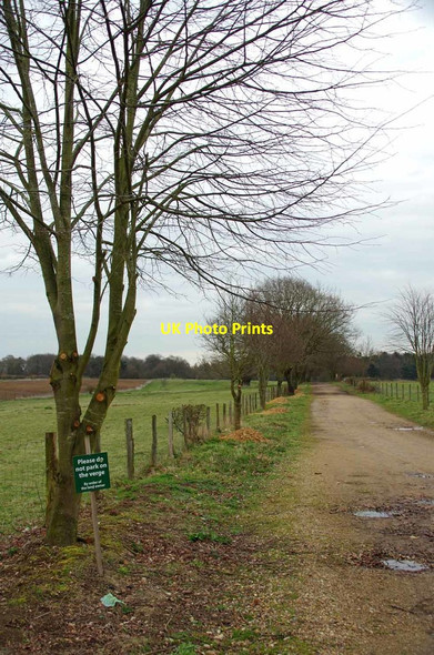 Photo 6"x4" Bridleway 124_37 Birch\/TL9419 c2019
