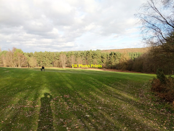 Photo 6"x4" Tilgate Forest golf course Crawley\/TQ2736 c2019