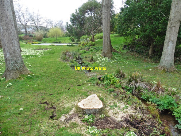 Photo 6"x4" Garden, pond and stream, East Quantoxhead East Quantoxhead c2019
