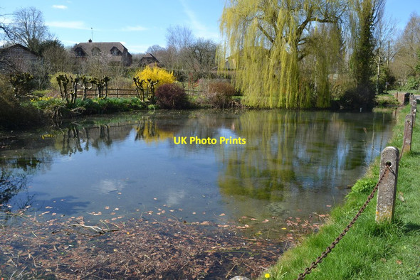 Photo 6"x4" The pond at Wilton Wilton\/SU2661 c2019