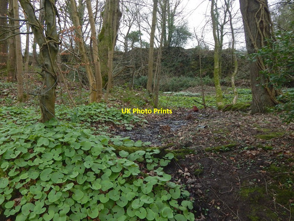 Photo 6"x4" Former quarry at Cardross Cardross\/NS3477 c2019