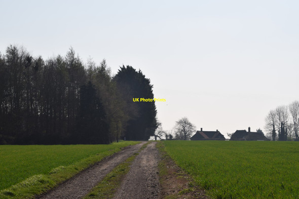 Photo 6"x4" Bridleway approaching Rickling Rickling c2019