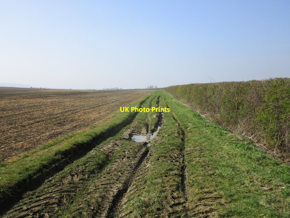 Photo 6"x4" Rutted byway near Redmile Redmile c2019