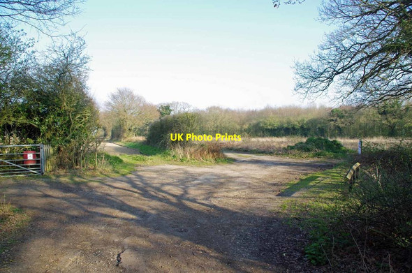 Photo 6"x4" New Byway Crockleford Heath c2019