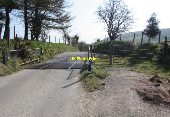 Photo 6"x4" East across a cattle grid, Eglwysilan Road, Eglwysilan Hawthorn\/ST0988 c2019