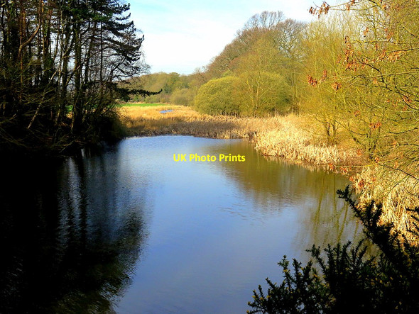 Photo 6"x4" Pond on Reigh Burn Ryton\/NZ1564 c2019