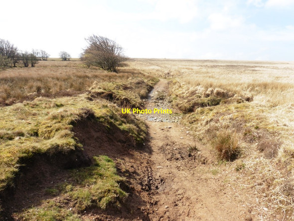 Photo 6"x4" Ford near Tudball's Splats North Batsom c2019