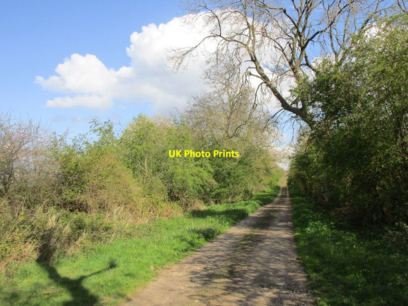 Photo 6"x4" Byway to Collingham Besthorpe\/SK8264 c2019