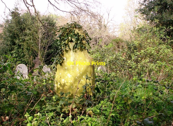 Photo 6"x4" Old gravestone on the terraces Norwich c2019