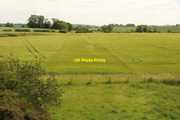 Photo 6"x4" Dismantled Railway south Frieston c2015