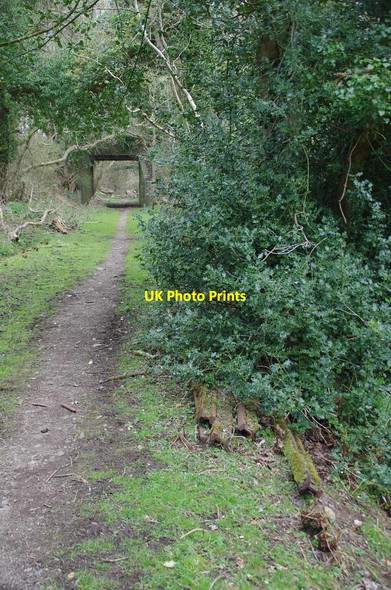 Photo 6"x4" Remaining Rails on the Foxdale Branch Lower Foxdale c2019