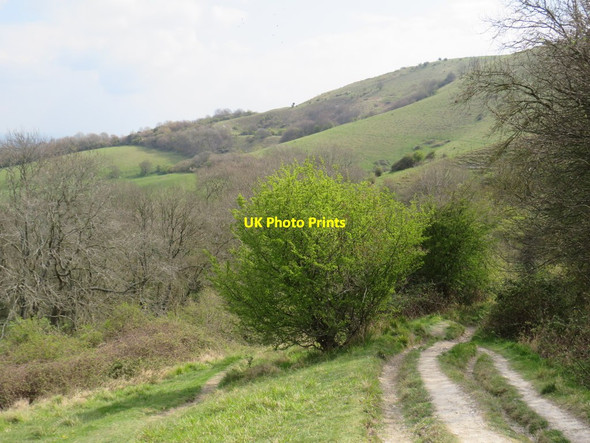 Photo 6"x4" Burnhouse Bostall, near Ditchling Clayton\/TQ3014 c2019