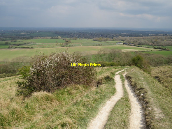 Photo 6"x4" Burnhouse Bostall, near Ditchling Clayton\/TQ3014 c2019 P1