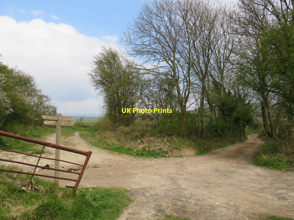 Photo 6"x4" Paths meet near Pyecombe Pyecombe c2019