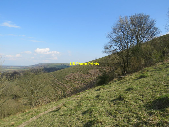 Photo 6"x4" South Downs near Clayton Bedlam Street c2019