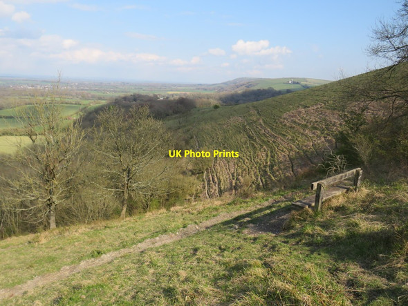 Photo 6"x4" Bench with a view, near Clayton Bedlam Street c2019