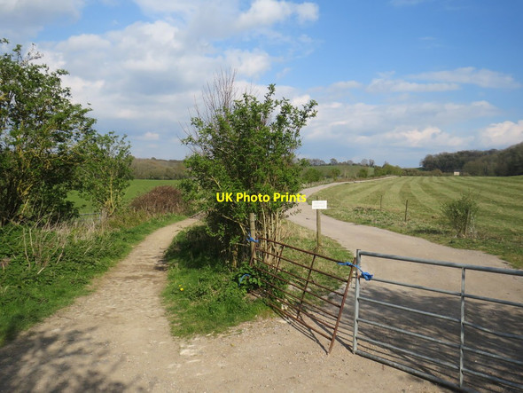 Photo 6"x4" Footpath near Clayton Bedlam Street c2019
