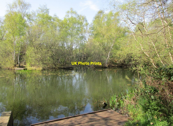 Photo 6"x4" Pond off Rochester Drive Birchwood\/SK9369 c2019