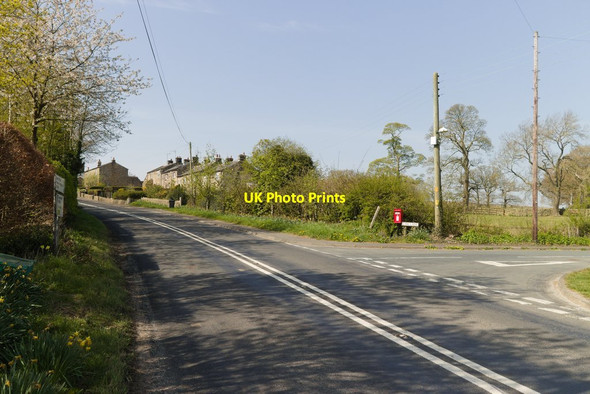 Photo 6"x4" B6165, Bedlam Bedlam\/SE2661 c2019