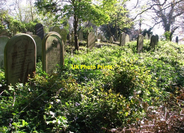 Photo 6"x4" Graves on the terraces Norwich c2019