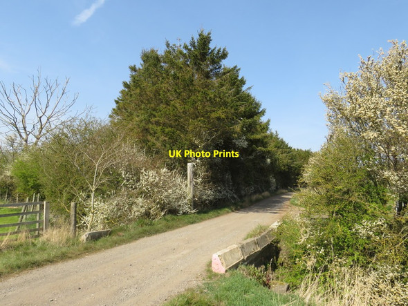 Photo 6"x4" Bridge over a ditch near Sedgefield Fishburn c2019