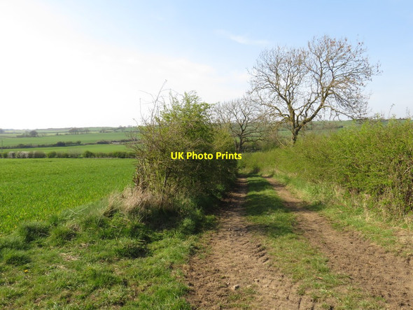 Photo 6"x4" Track near Fishburn Fishburn c2019