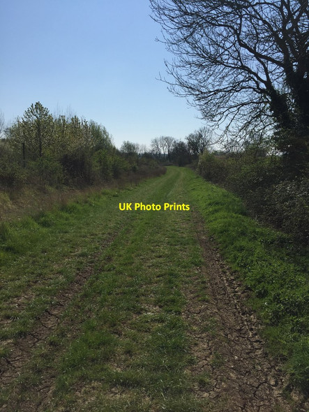 Photo 6"x4" Bridleway near Ravenstone Ravenstone\/SP8450 c2019