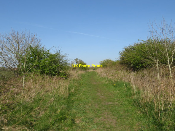 Photo 6"x4" Former railway, Trimdon Grange Trimdon Grange c2019