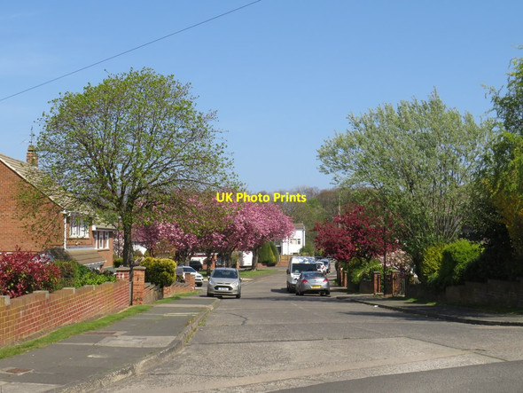 Photo 6"x4" Spring colour on Lambourne Road, Sunderland Sunderland\/NZ3957 c2019