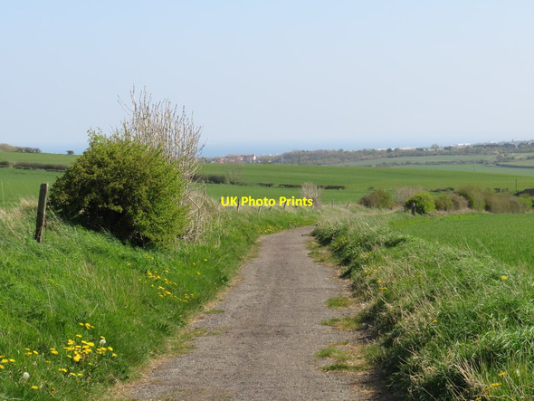 Photo 6"x4" Nettles Lane, near Ryhope Ryhope c2019