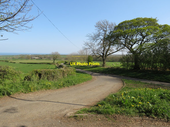 Photo 6"x4" Country lane near Ryhope Burdon c2019