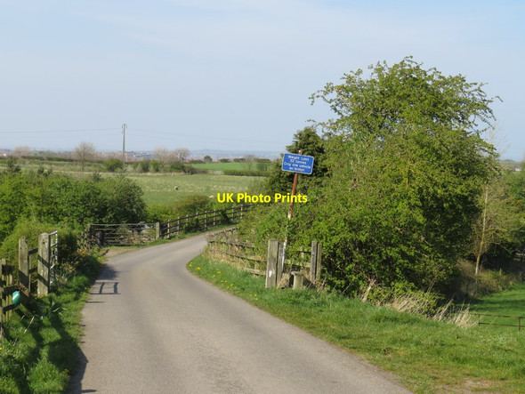 Photo 6"x4" Minor lane near Sunderland Old Burdon c2019